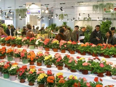piante di fiori