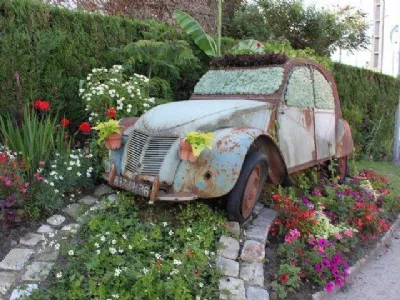 Consiglio giardino 