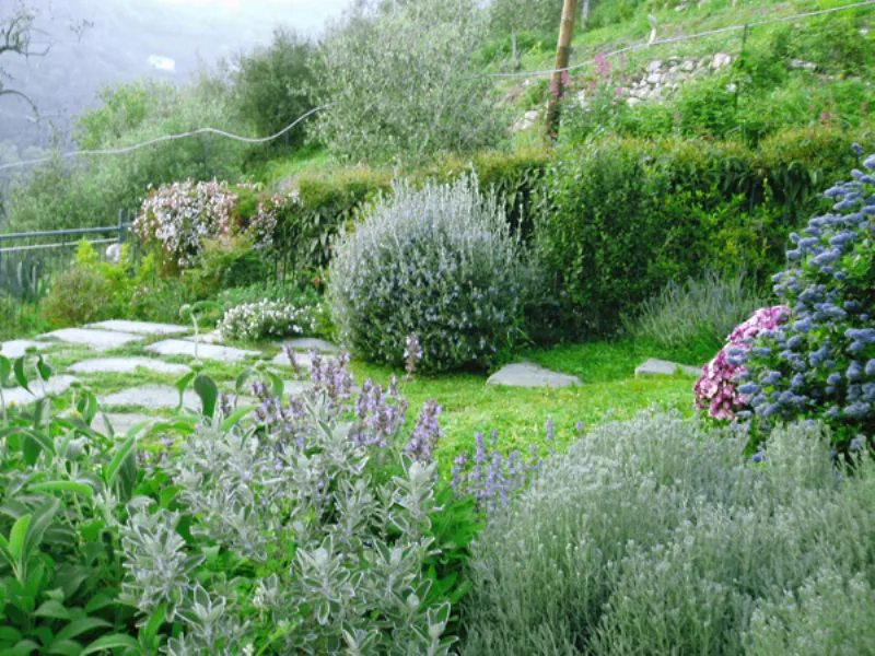giardino