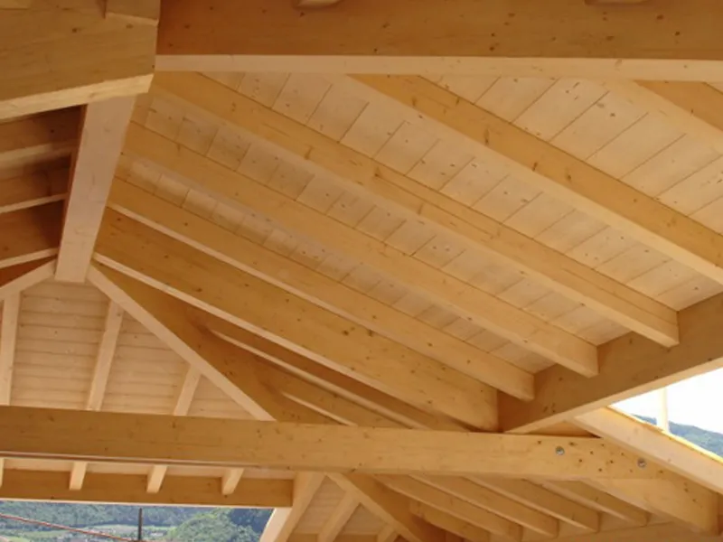 Elastico, leggero, isolante: il tetto in legno è una buona idea. Realizzazione di Legnostrutture