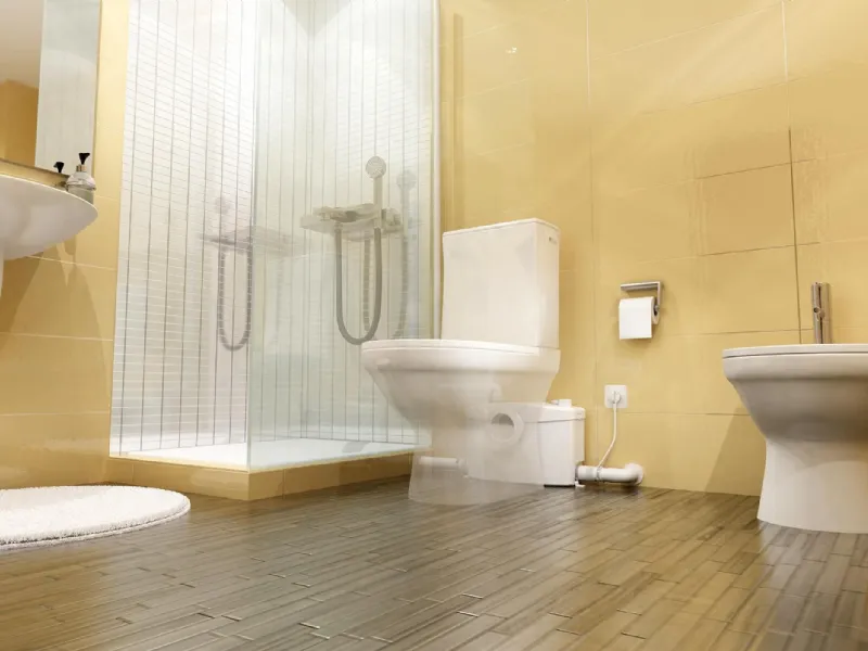 sanitrit
