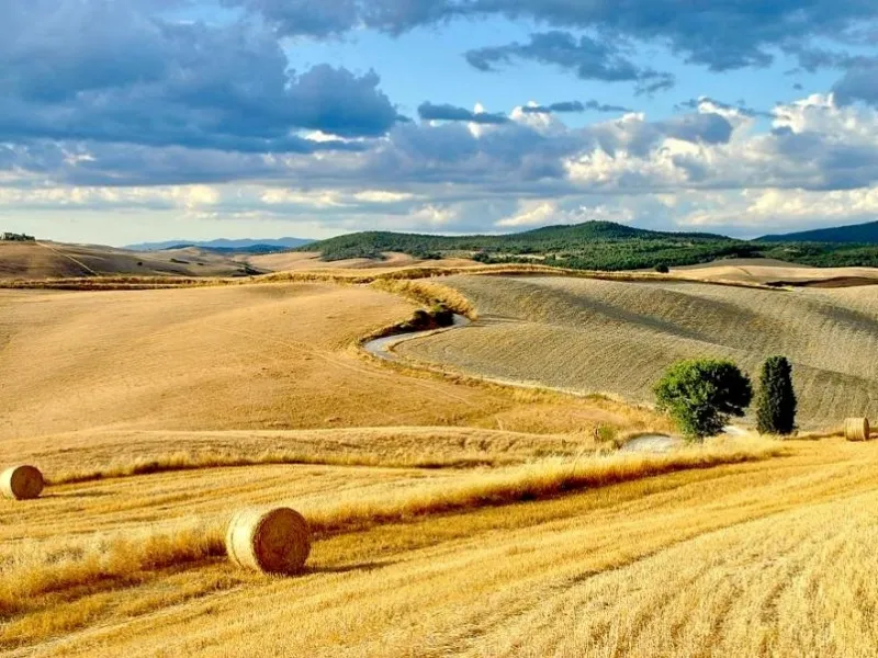 servitù prediale