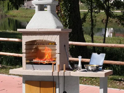 Barbecue in giardino