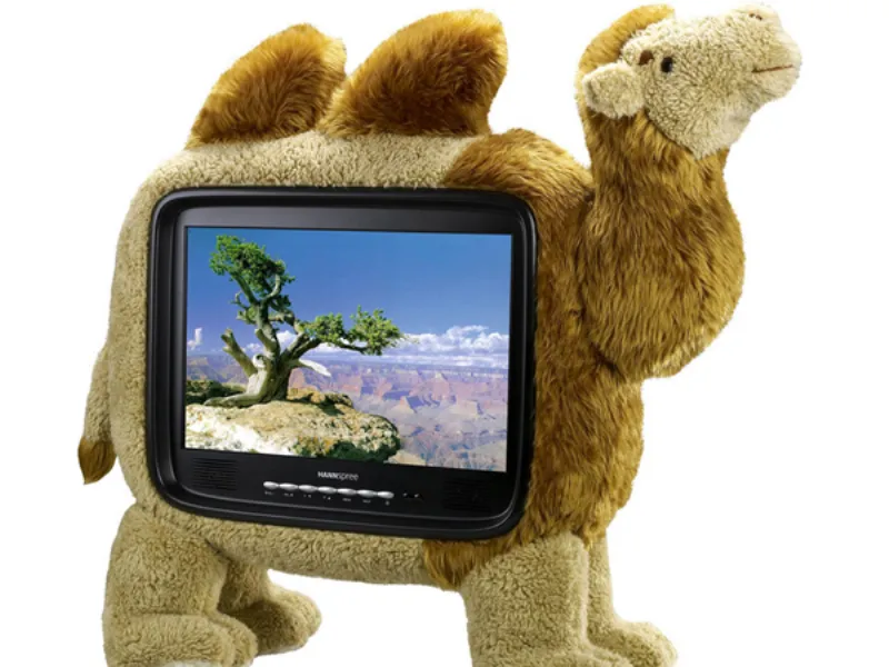 tv cammello