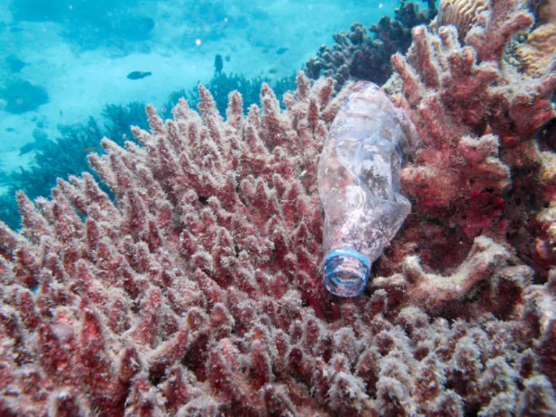 Rifiuti nell'oceano
