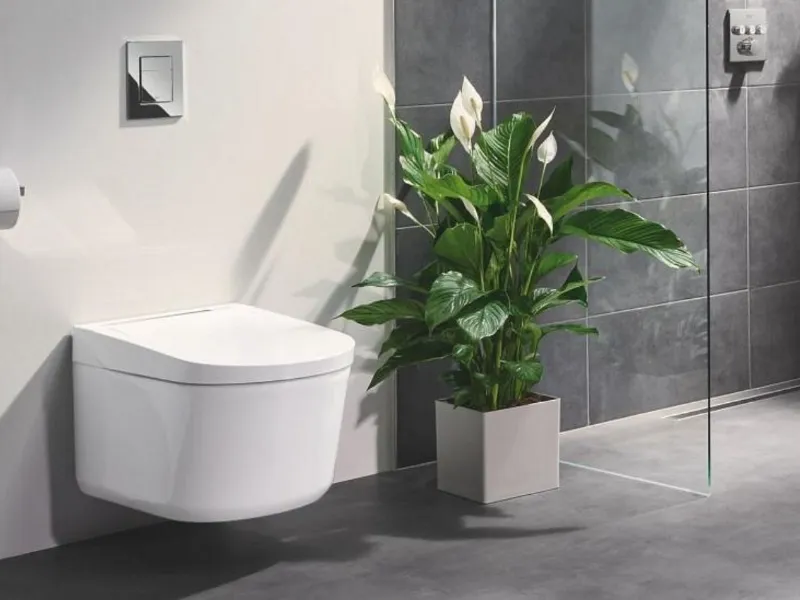 Grohe Sensia Pro, wc con funzione bidet 